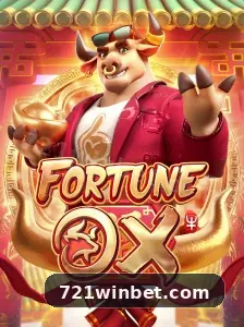 plataforma_主图